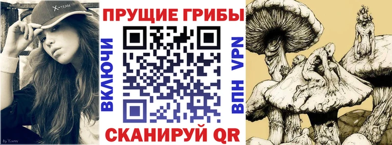 мега ссылки  Яровое  Галлюциногенные грибы Cubensis  даркнет сайт 